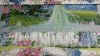 IMG_20210502_224936.thumb.jpg.29878e8d2a75533e7cd99ed1a86ee991.jpg?1619989002850