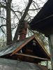 IMG_20210503_113505.thumb.jpg.a6f29b1ab17fbb05377f45cb485ebc87.jpg