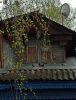 IMG_20210503_114117.thumb.jpg.441a3f691577cdccaef81d6afc62ae7e.jpg
