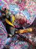 IMG_20210503_142933.thumb.jpg.8c5c9ffa4839ca1972abd562b3830f43.jpg