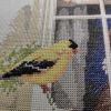 IMG_20210503_233119.thumb.jpg.ef5b8a864c97df4864d85204f1f92e4b.jpg