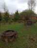IMG_20210504_110537.thumb.jpg.28c991e715d9d42fe6ee83deff5ccfb4.jpg