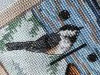 IMG_20210505_131733.thumb.jpg.1159002369cd97b87e60b69b941548c7.jpg?1620210888589