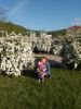 IMG_20210507_165623.thumb.jpg.0ddf9f49d9e52ff00e711e3d2e827203.jpg