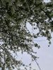 IMG_20210508_101118.thumb.jpg.a187bbb300edff642309cf8a82ab99a9.jpg