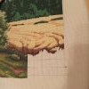 IMG_20210509_022931.thumb.jpg.a62d153c0b84da0960fbf46e523c70e1.jpg?1621836245618