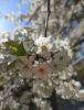 IMG_20210511_140326.thumb.jpg.3d5e6da32f10457e62a6177b4564899f.jpg