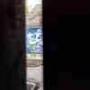 IMG_20210511_155401.thumb.jpg.3e7171c3e61827ade33248196e2a4a60.jpg