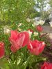 IMG_20210514_163850.thumb.jpg.2bafbfb2518be69be98ddb00957c1fae.jpg
