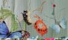 IMG_20210514_164410.thumb.jpg.e6b013d46885c1a49379ad956d804160.jpg