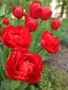 IMG_20210514_173427.thumb.jpg.49f32673d3b31bf9052683b4071049b1.jpg