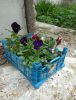IMG_20210514_185144.thumb.jpg.89a4bbffe38f4cab8ecb304f646bd8d3.jpg