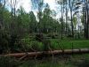 IMG_20210516_131220.thumb.jpg.555c48a6a397ef3e75947fd97cff1743.jpg
