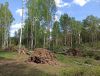 IMG_20210516_131456.thumb.jpg.fa9207ec3d00789fe7c97de120b923e9.jpg