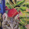IMG_20210516_194927.thumb.jpg.a3cdff26bf835d12069c968a96f6e522.jpg