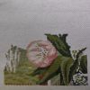 IMG_20210518_200623.thumb.jpg.3b7181031b4b4f108fdac664a79ba453.jpg