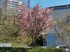 IMG_20210519_140354.jpg