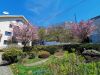IMG_20210519_140405.jpg