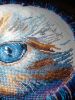 IMG_20210524_000843.thumb.jpg.680b7b60bc872d724c626e0c94a179ae.jpg