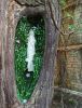 IMG_20210525_172520.thumb.jpg.930c15256341ea07b1ca23d057664df4.jpg