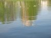 IMG_2824.JPG