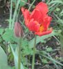 IMG_2832.JPG
