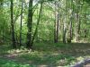 IMG_2843.JPG