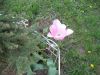 IMG_2866.JPG