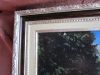IMG_8620.thumb.JPG.3a63cf8971e93a6f49f0d20f3ed3426a.JPG