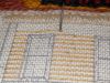 PXL_20210304_214810548.jpg