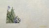 P_20210501_181205_1_p.thumb.jpg.e89a39f99fadd17bb0671634b9d210db.jpg