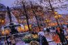 _IMG_4977.thumb.jpg.7ff1a52fa98beb1f991e44e2e74683f4.jpg