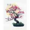 bonsay-sakura-nabor-dlya-vyshivaniya-riolis.thumb.jpg.843146905c0ff77c552a9c2edb159461.jpg