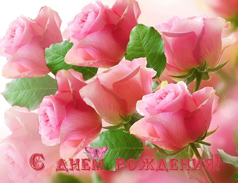 image002-3.thumb.gif.b88be152f09af9f84190b1b043c9cf27.gif