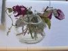 20210519_123549.thumb.jpg.d7e8d15bfe1b8d37ff545db130ce1024.jpg