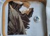 20210521_143259.thumb.jpg.c564ded3560dbc7a47ecbcf924a2336e.jpg