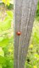 20210529_102607.thumb.jpg.d4eb6308aea18c4dc6384a36d1470069.jpg