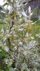 20210529_102806.thumb.jpg.a9fef8a72215cbdd56448b987861b408.jpg