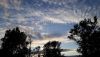 20210529_202541.thumb.jpg.f36a1e3907e07b2c6a362c7198076189.jpg