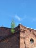 20210608_090400.thumb.jpg.a09b46570708fee579da671c7e1fe047.jpg
