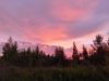 20210609_221526.thumb.jpg.aa1e601c191cc0624392cf805b4aa612.jpg