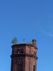 20210610_093534.thumb.jpg.d6e4a21c84845e607749936009ee6246.jpg