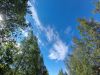 20210615_091405.thumb.jpg.d93ebcaeec7bd02856163eab434da042.jpg