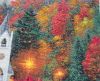 20210616_075241.thumb.jpg.b4113939c8e53996272f95915f1dd886.jpg