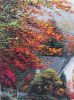 20210616_075436.thumb.jpg.c16857dcd27dd66cf0ab83f4ff4433f3.jpg