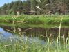 20210619_152754.thumb.jpg.ab4f3ade052d7cb8110b0d737814c025.jpg