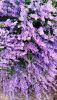 20210620_192308.thumb.jpg.c5906e306ab25d5703a6e1ef5b04dc16.jpg