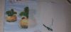 20210628_150036.thumb.jpg.149fe8a1ec17af220c93bb39c8e15bee.jpg