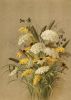 286150403_HemlockOx-EyeGrassesandGoldenRod.thumb.jpg.08ca0bf4b28746da581095d2509e7310.jpg