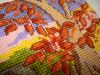 343019339_AutumnEscape06.JPG.6a1dd5c3ce998d84b99d3b8089ba817e.thumb.JPG.41ce3ce475b5bf2dc735364c17d7ade6.JPG